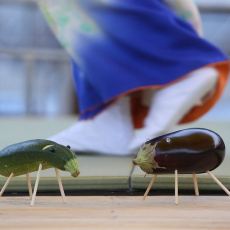 sventes-ir-renginiai-5